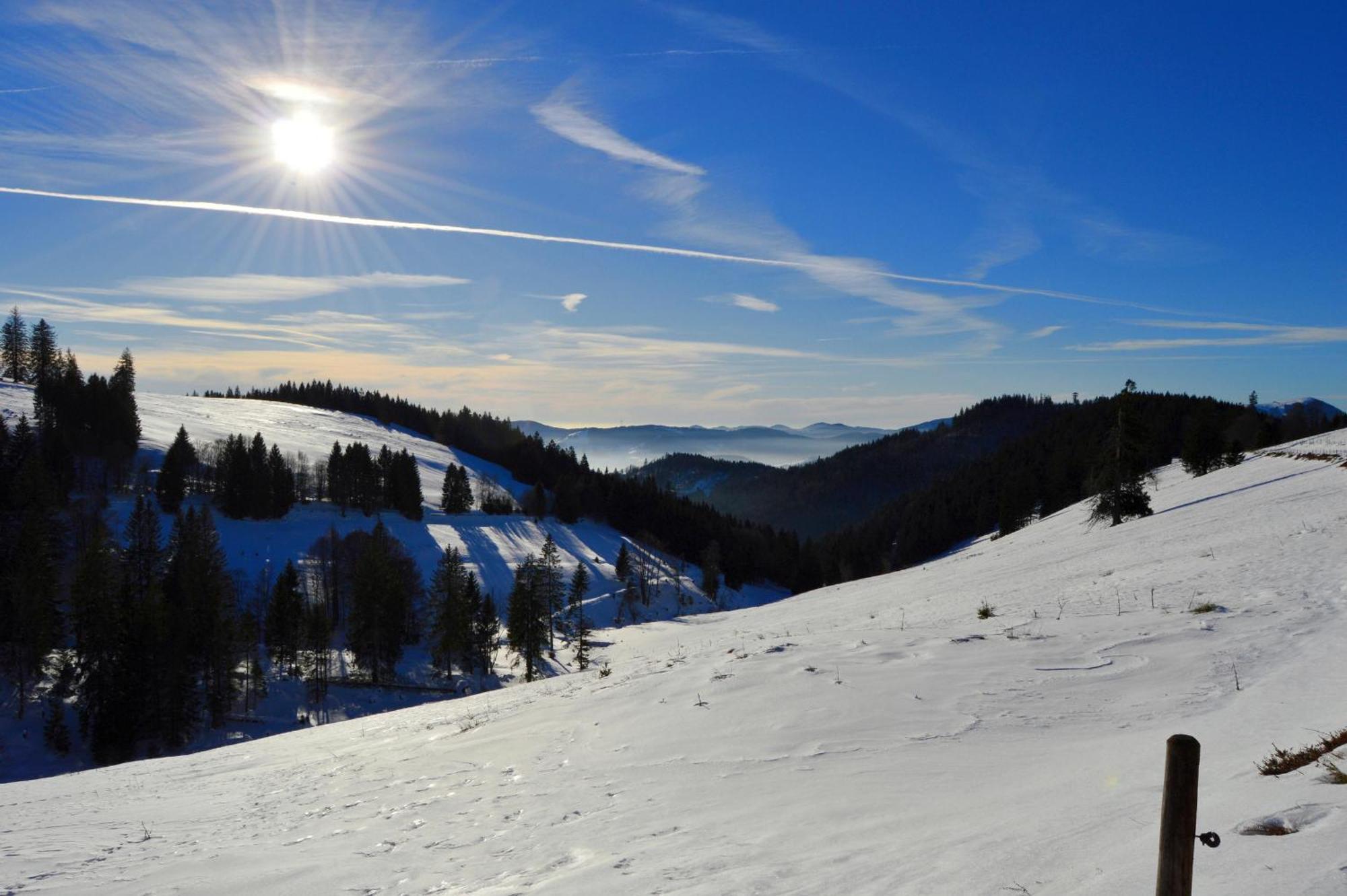 Haus Findling, 10 Personen, Schluchsee, Hochschwarzwaldkarte Екстериор снимка