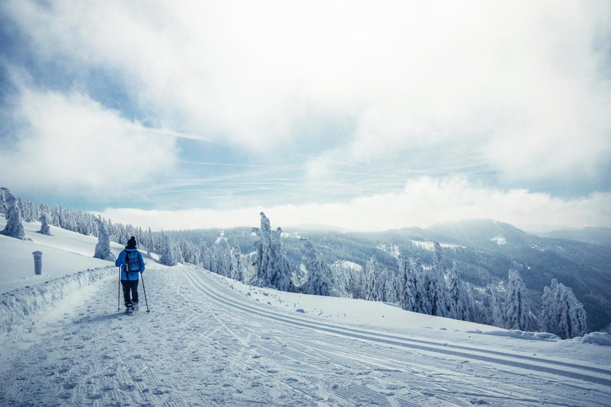 Haus Findling, 10 Personen, Schluchsee, Hochschwarzwaldkarte Екстериор снимка