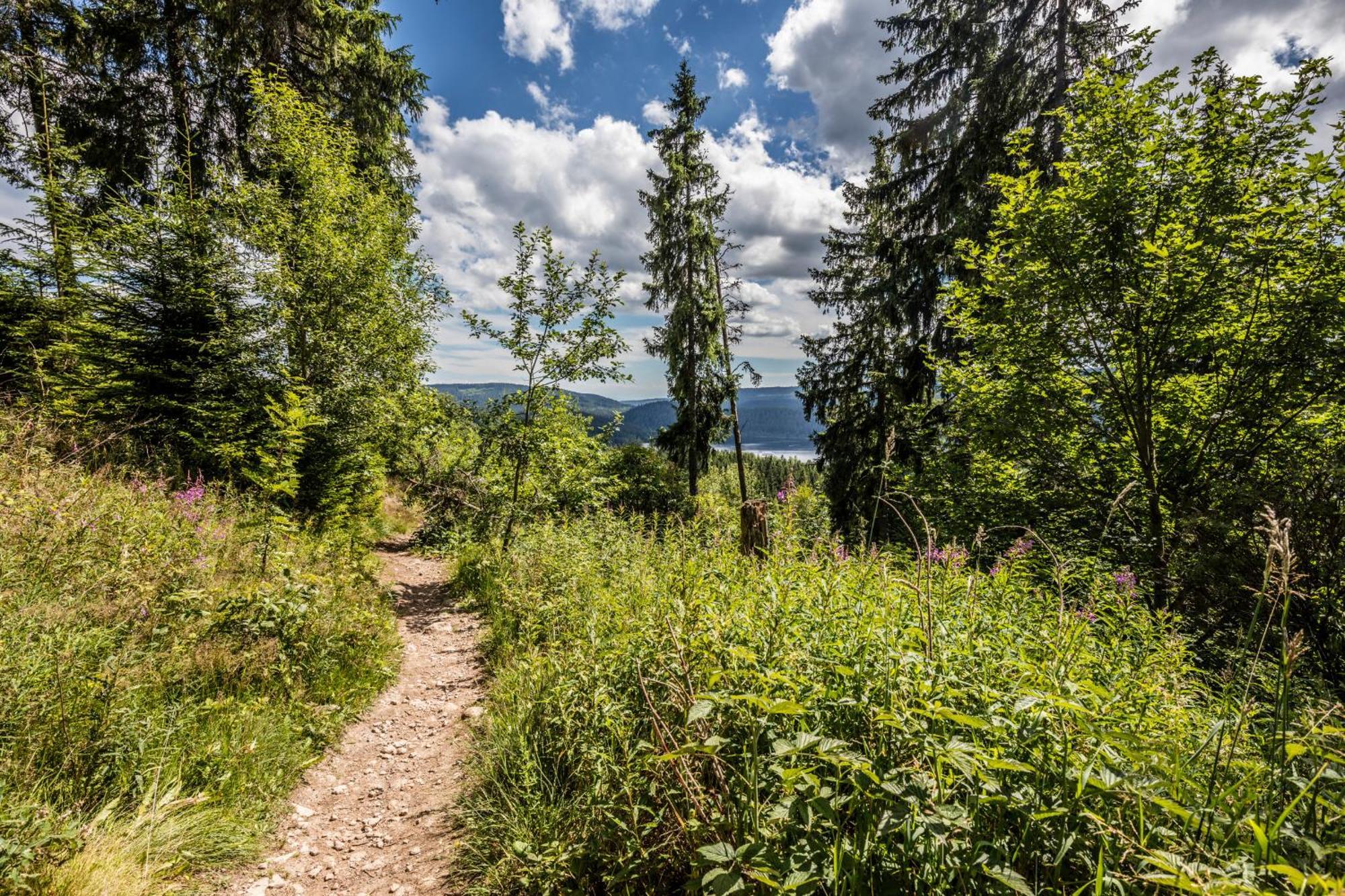 Haus Findling, 10 Personen, Schluchsee, Hochschwarzwaldkarte Екстериор снимка
